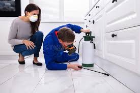 Best Bed Bug Extermination  in East Moline, IL